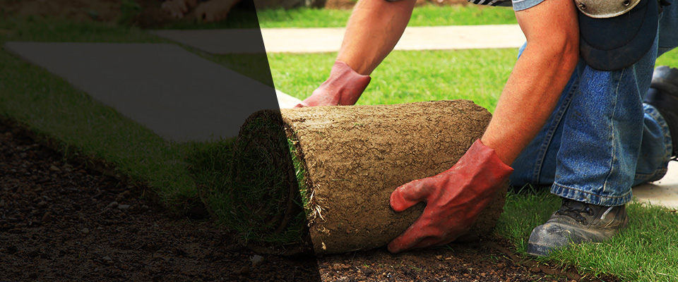 Moss Point Landscapers